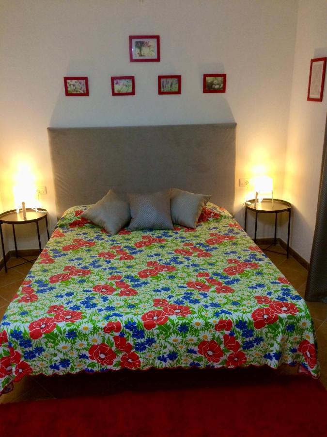 Guesthouse Villa Rosa Berat Exterior foto
