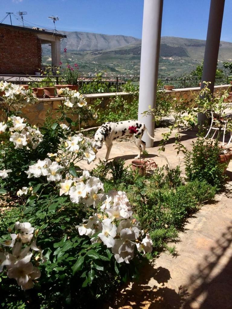 Guesthouse Villa Rosa Berat Habitación foto